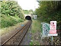 Tunnel mouth at Montpelier