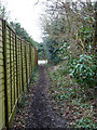 Footpath from Brook Hill to Clamp Hill