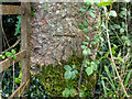 Benchmark on a gatepost