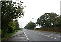 TF7015 : A47 towards West Bilney by JThomas