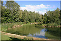 Bridge Lake, Birds Green Fishery