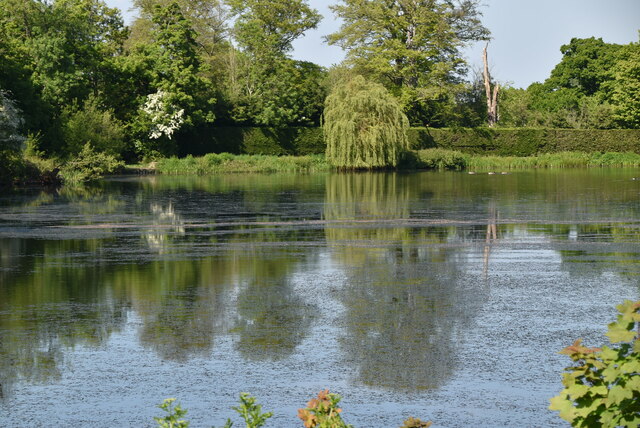 Lake, Somerhill Park