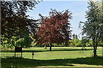TQ6045 : Somerhill Park by N Chadwick