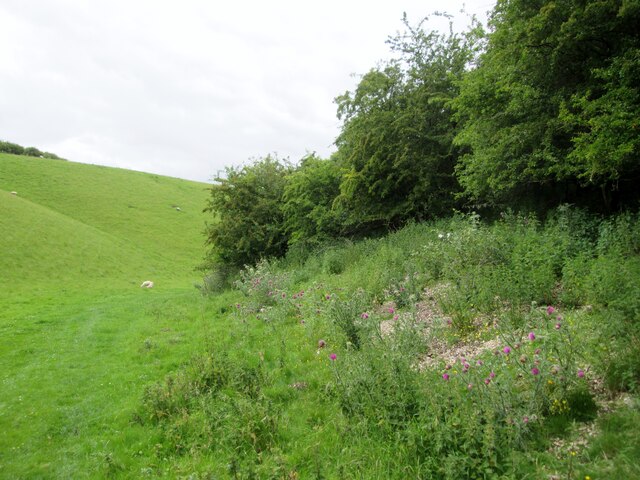 Grass  track  in  Shortlands  Dale