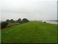 TF5916 : Footpath atop the River Great Ouse floodbank by JThomas