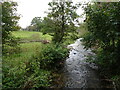 Smestow Brook View