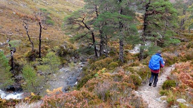 Approaching the footbridge at the Teahouse bothy