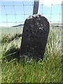 Old milestone