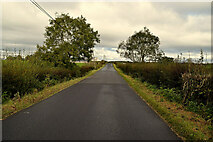 H4459 : Kilnahusogue Road, Lisnacreeve by Kenneth  Allen