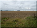 TF9239 : Stubble field, Wighton by JThomas