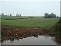 SJ9851 : Broken-down canal bank, near Basford Bridge Farm by Christine Johnstone