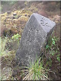 NM8415 : Old milestone by Chris Minto