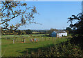 Horse Paddock by the Bridleway