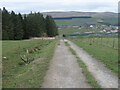 Road near Kelloside Plantation