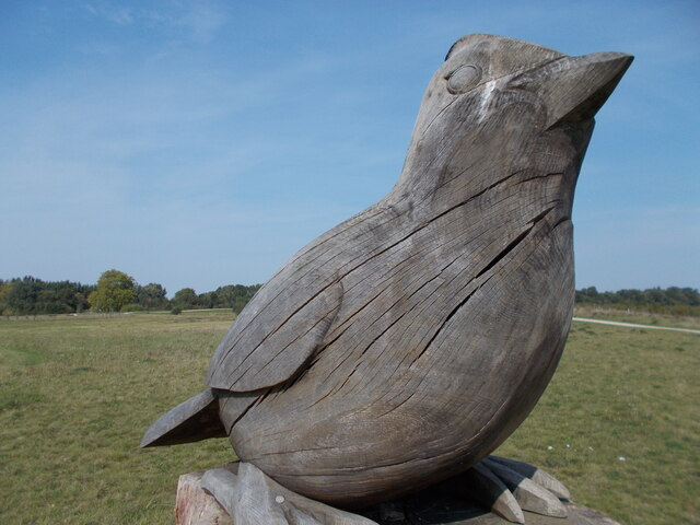 Large wooden skylark sculpture, Trumpington Meadows Country Park