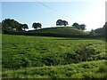 Farmland west of Denford Farm