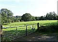 Gateway into grazing field