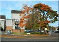 Autumn colours, South Mains Road