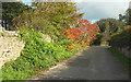 Footpath from Victoria Road, Brixham