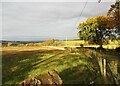 Farmland by Sandford Road