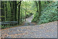 Bend on minor road up to Rhyswg-fawr