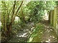 Footpath along Hilfield Brook