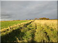 Old right of way between Tweedieside and Hosenett