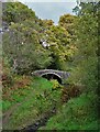 Washgate Bridge over the nascent River Dove