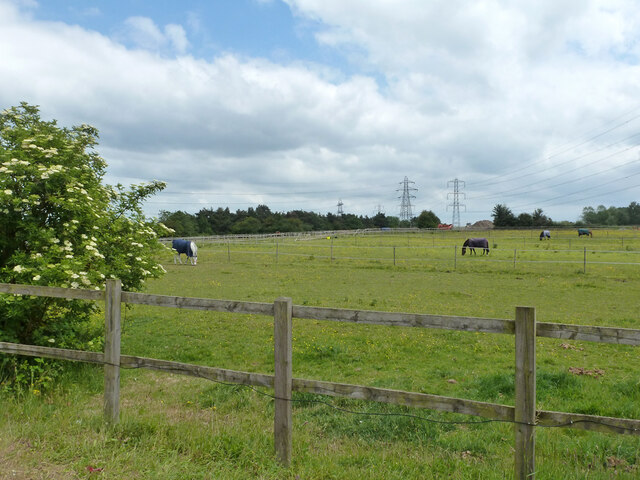 Paddocks between M1 and A41