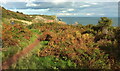 Coast path near Sea Lane