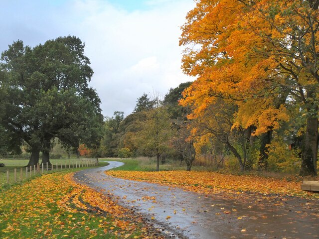 Autumn colours, Haystoun Estate Peebles (3)