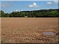 SO7253 : Ploughed field by Philip Halling