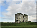 S5941 : Grenan Castle by kevin higgins