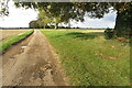 Track to the lane at Wychford Lodge Farm