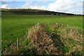 Farmland near Mormond Hill