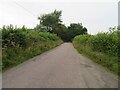 Lane between Monkokehampton and Exbourne