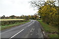 TQ9144 : Lane at Pinnock Bridge by N Chadwick