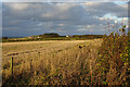 Looking towards Cairnbulg Mains