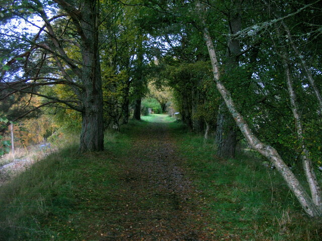 Dava Way towards the East Lodge at Castle Grant