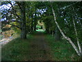 Dava Way towards the East Lodge at Castle Grant