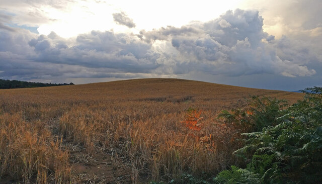 Farmland near Low Habberley