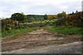 Gateway into Low Baronwood Farm field