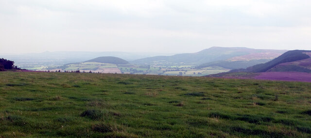 View from the Cleveland Way near Clain Wood
