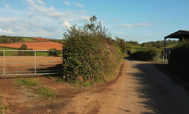 Lane to Marldon