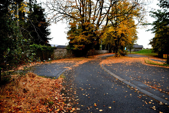 Fallen Leaves T And F Hospital Grounds © Kenneth Allen Geograph