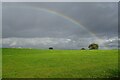 Rainbow over farmland