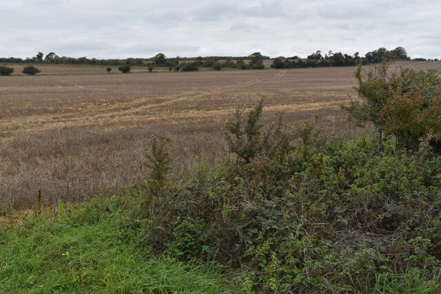 Rough fields north of Hurdcott Farm