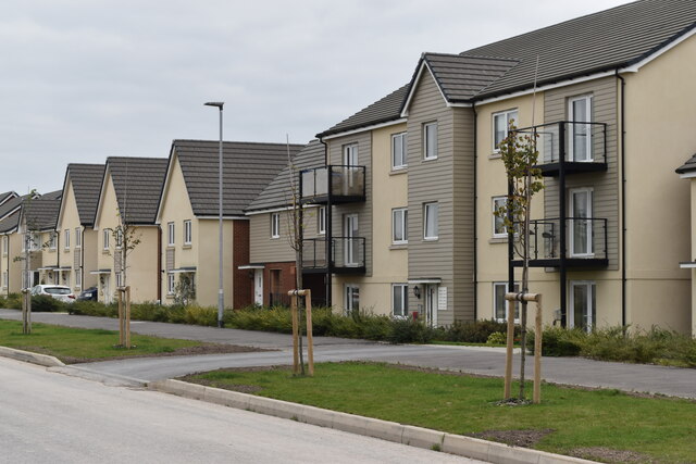 New housing in Nicolson Vale, Longhedge