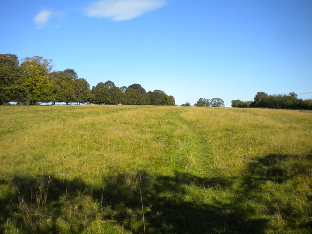 Public footpath south of Bowbridge Fields Farm