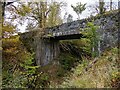 NR8096 : Bridge on Poltalloch estate by Patrick Mackie